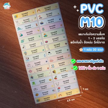 PVCM10