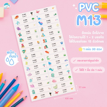 PVCM13