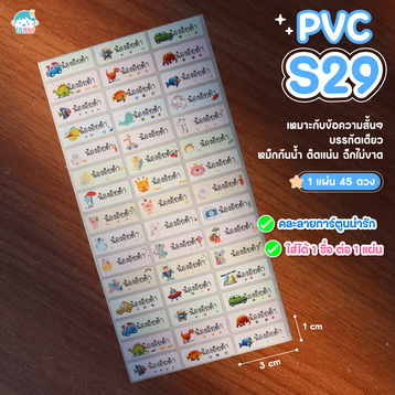 PVCS29
